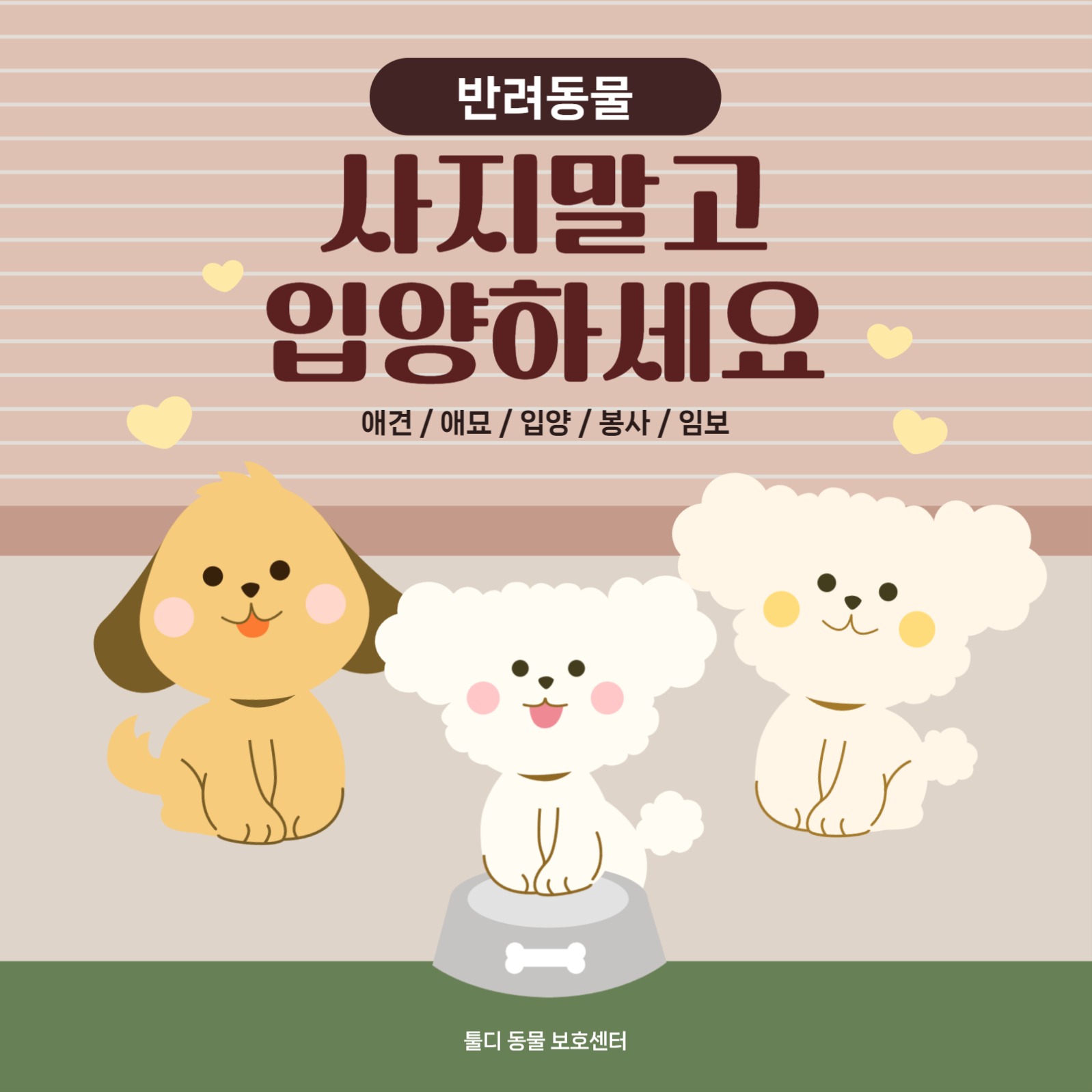 반려동물 보호센터 입양 홍보