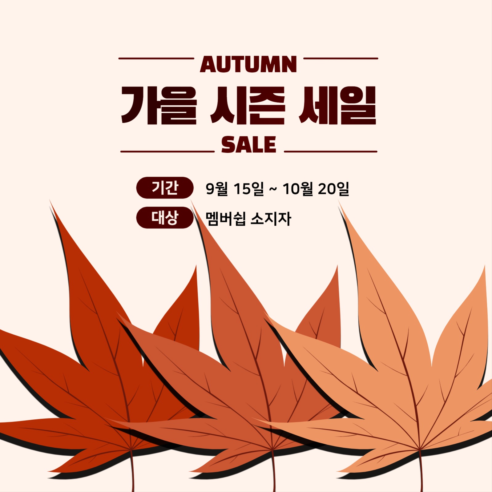 가을 시즌 세일 피드