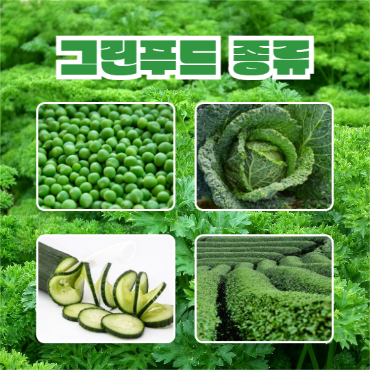 그린푸드 알아보기 (카드뉴스)