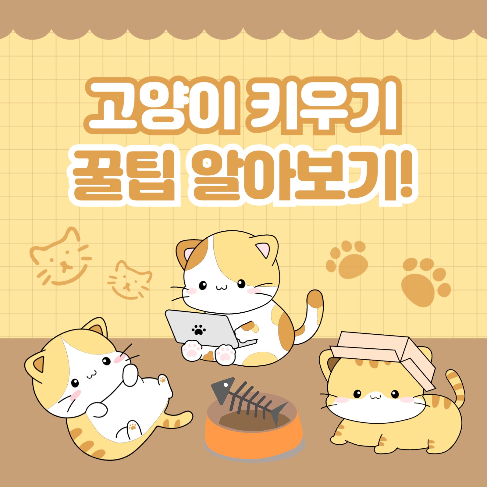 고양이 키우기 꿀팁 카드뉴스