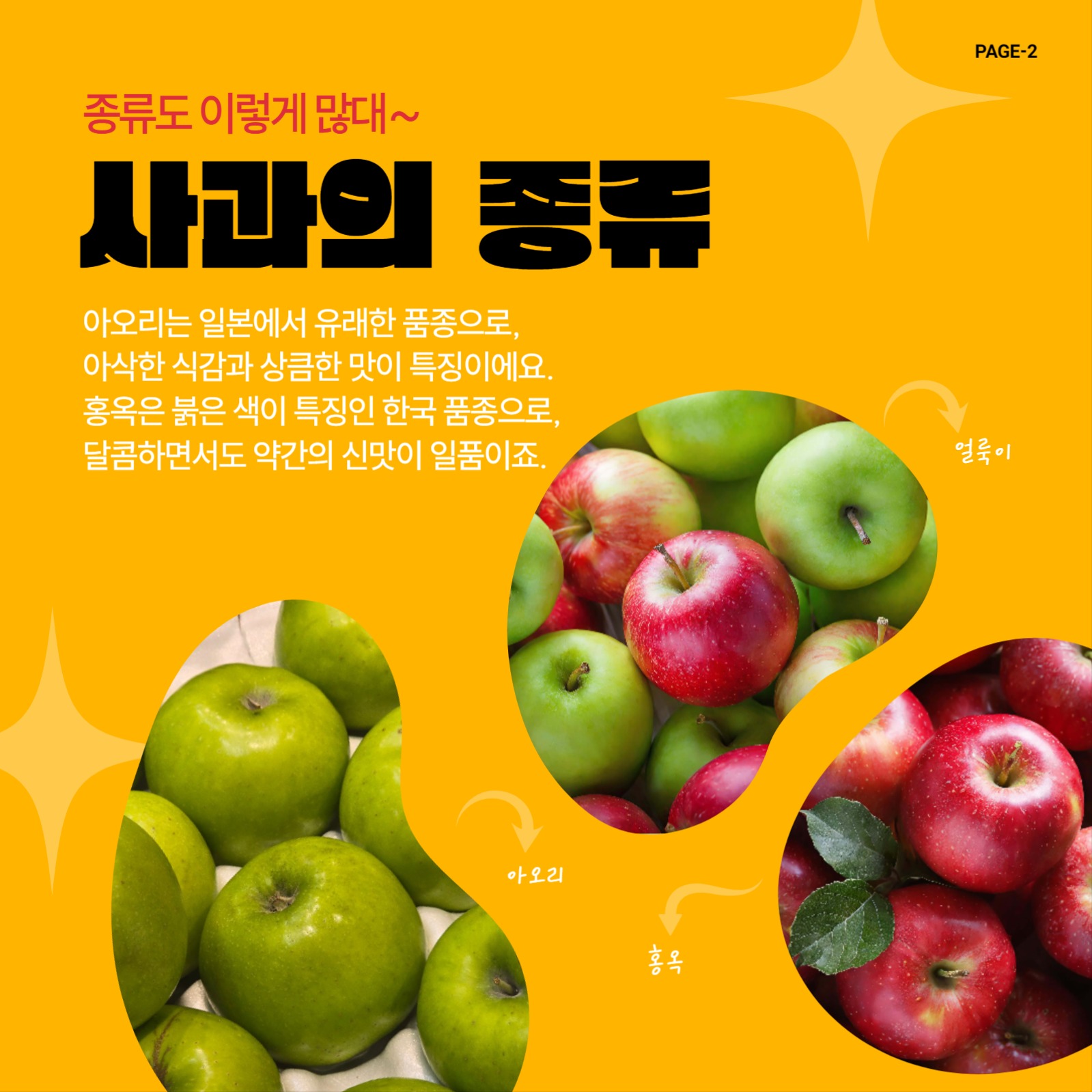 정보전달용 카드뉴스