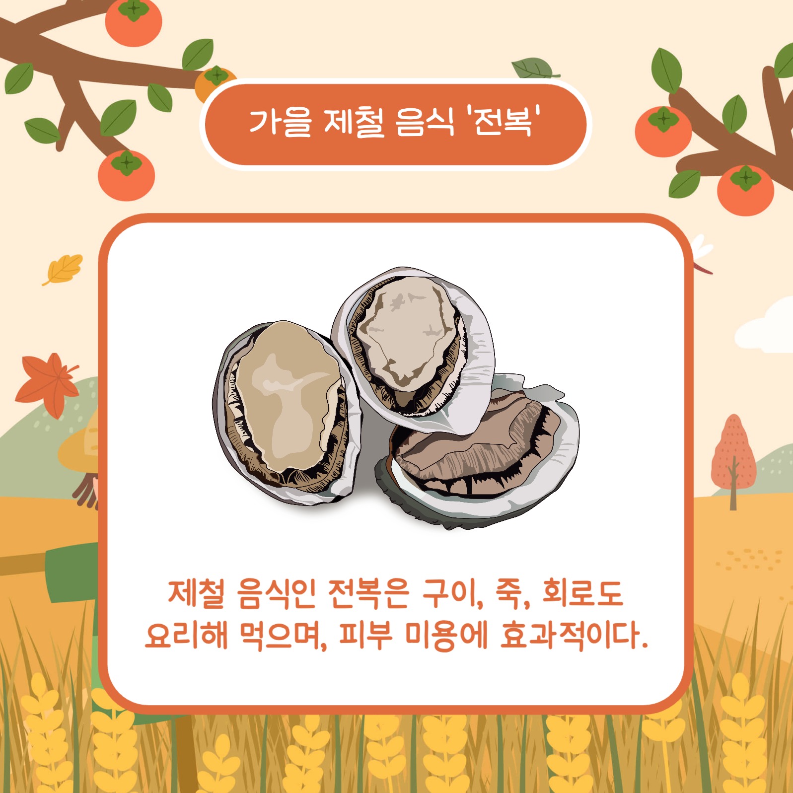 가을 추천 제철 음식 카드뉴스
