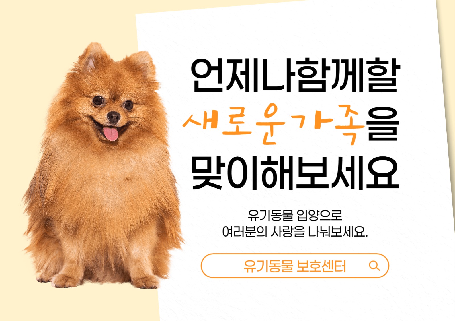 유기견 입양 홍보 포스터