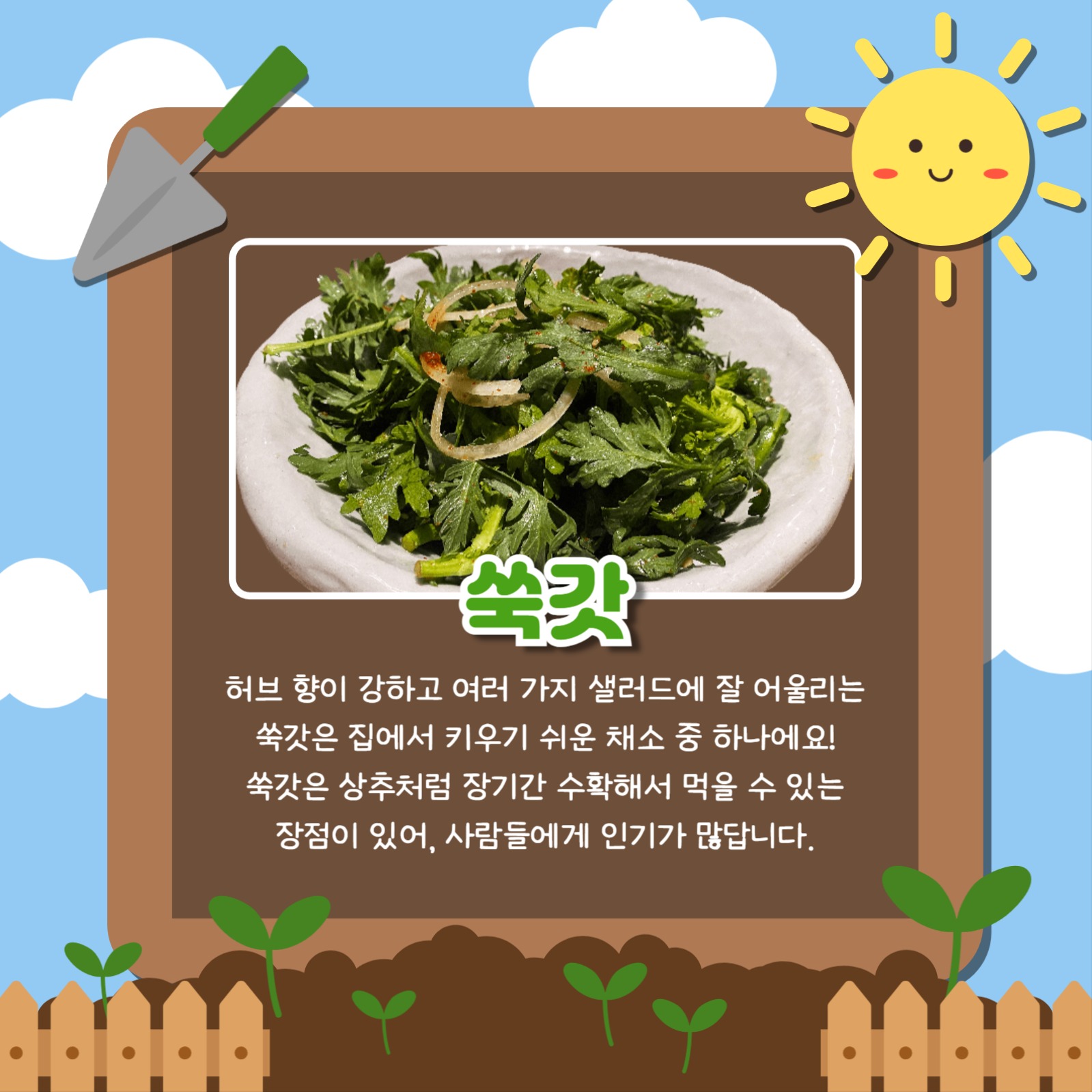 키우기 좋은 채소 카드뉴스
