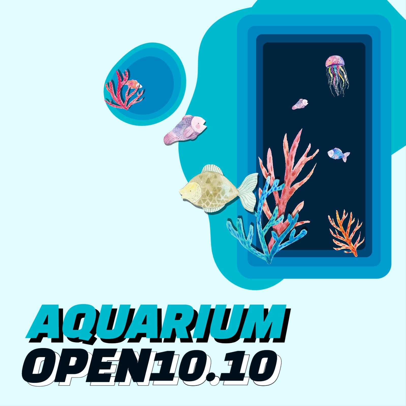 아쿠아리움 오픈 피드