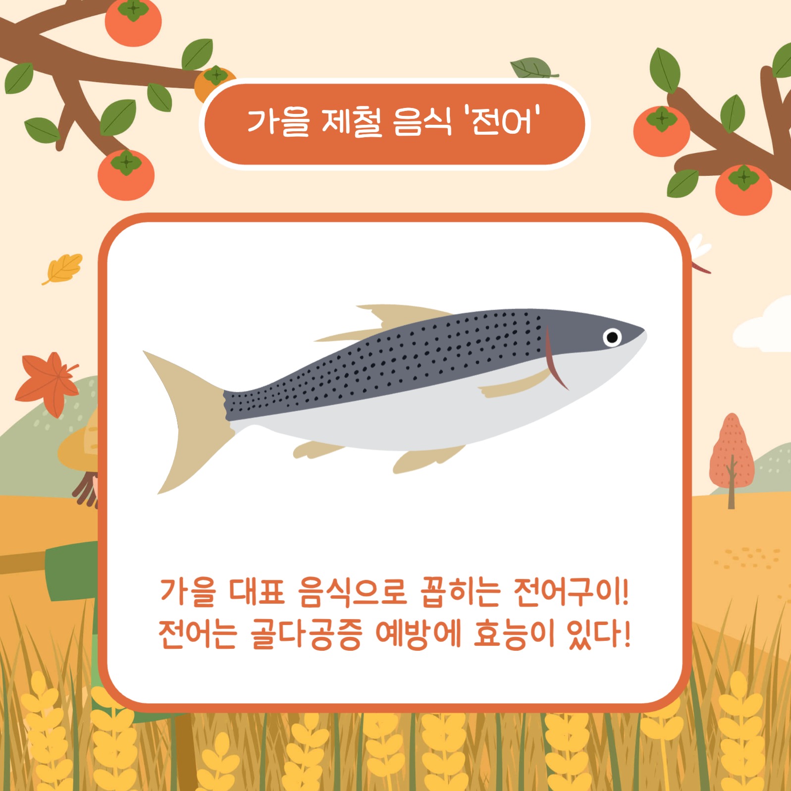 가을 추천 제철 음식 카드뉴스