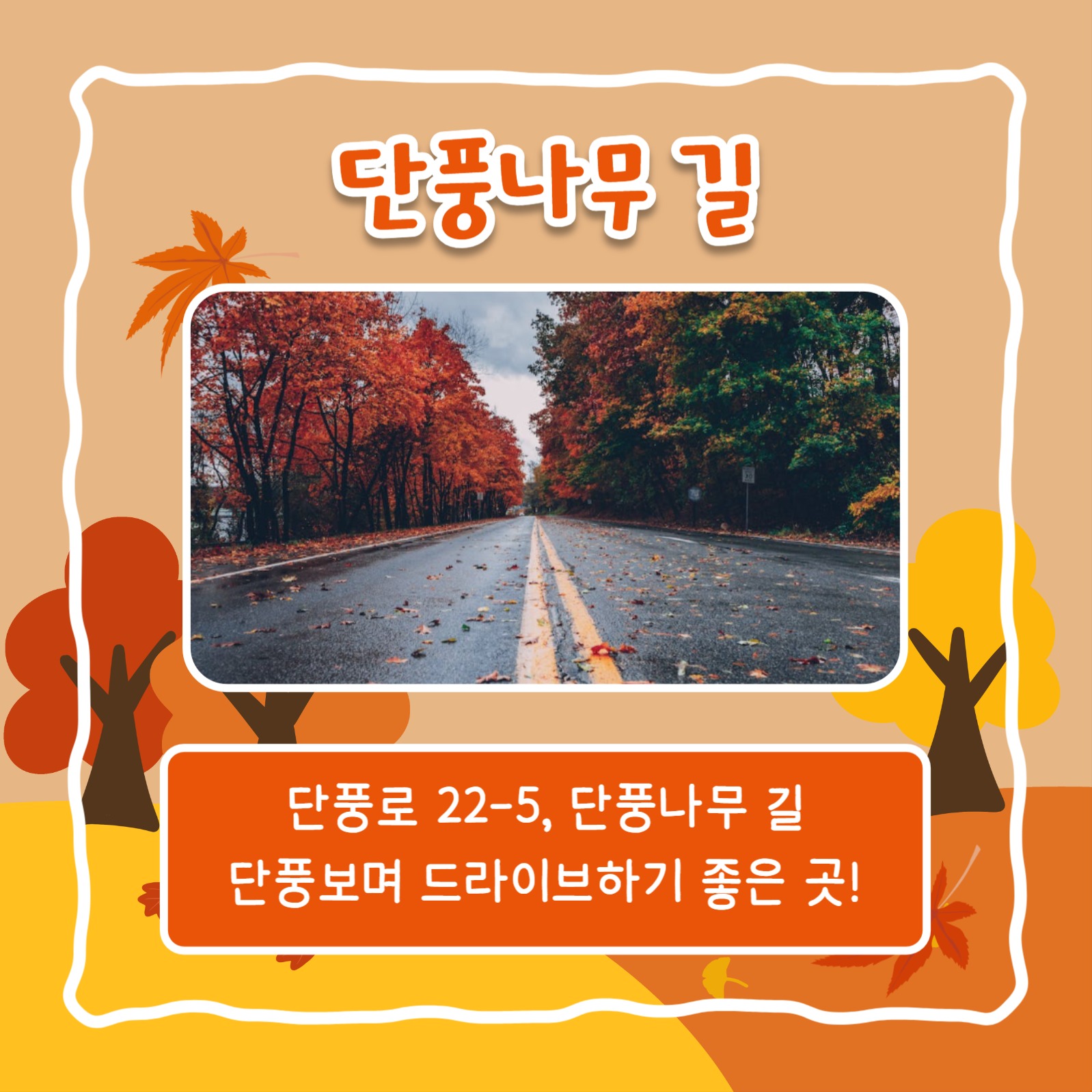 단풍 명소 추천 리스트 (카드뉴스)