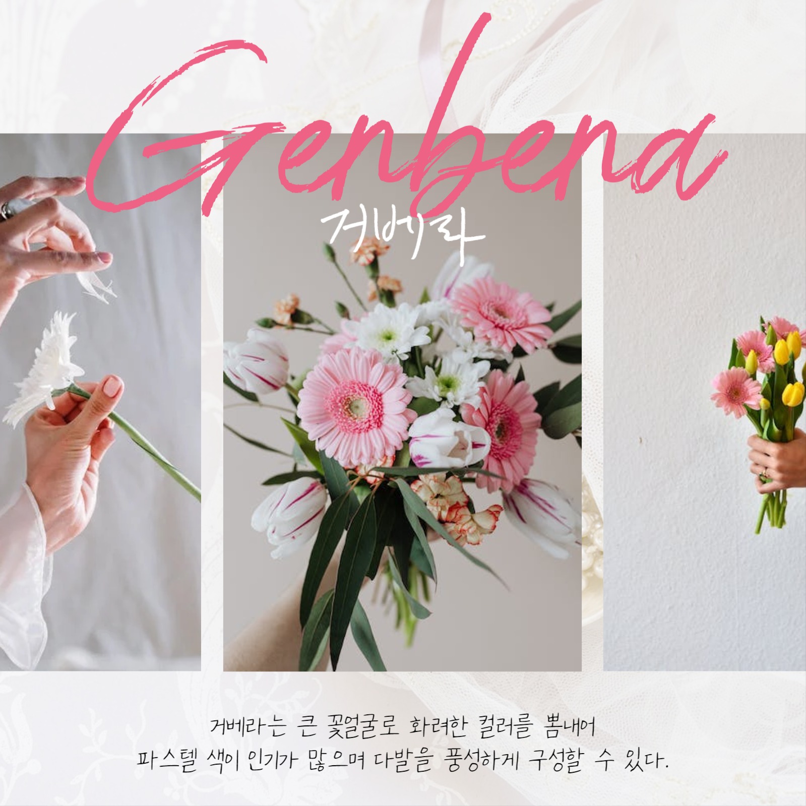 졸업식 꽃다발 추천 꽃집카드뉴스