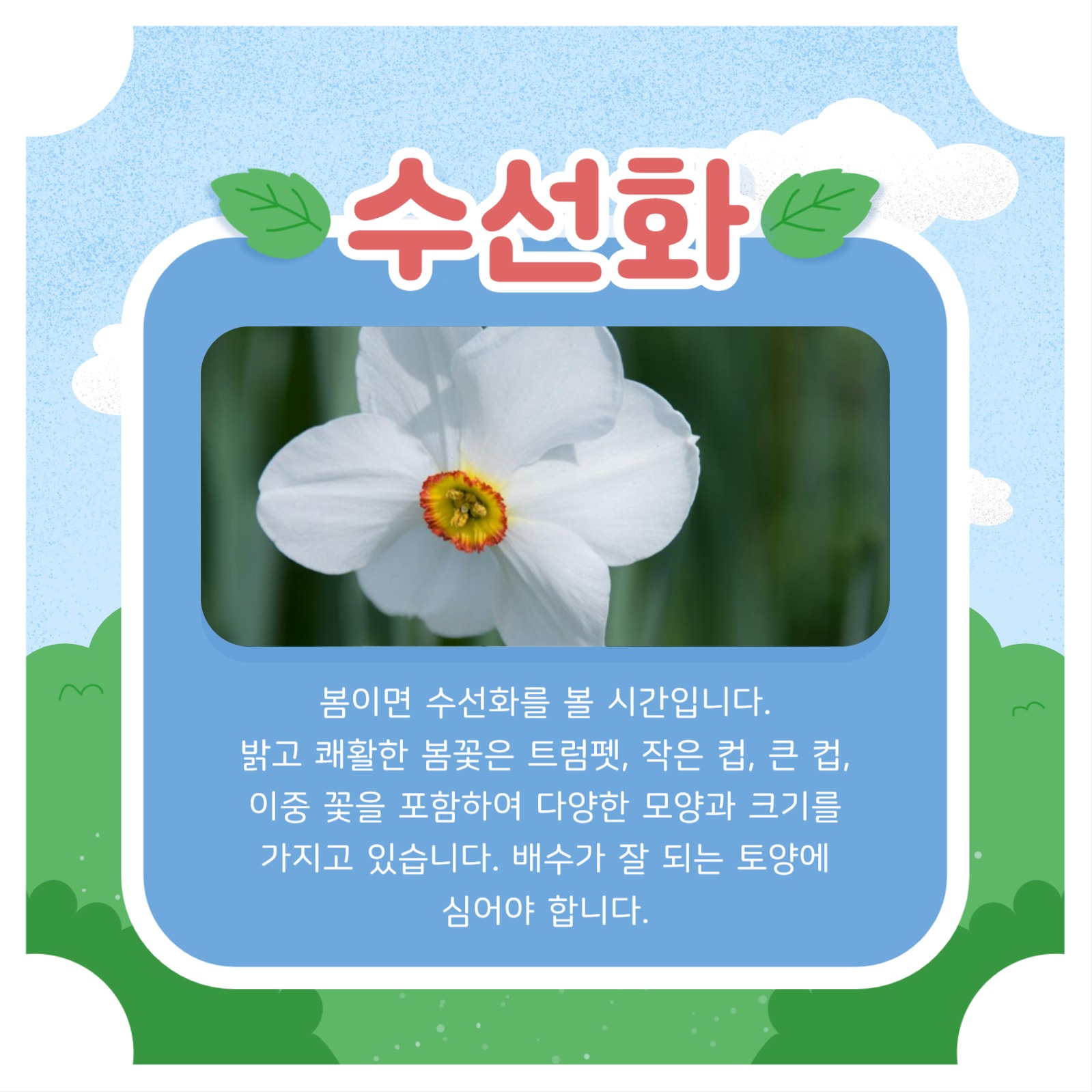 봄꽃 템플릿