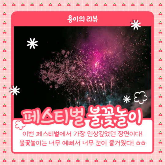 페스티벌 방문리뷰 (카드뉴스)