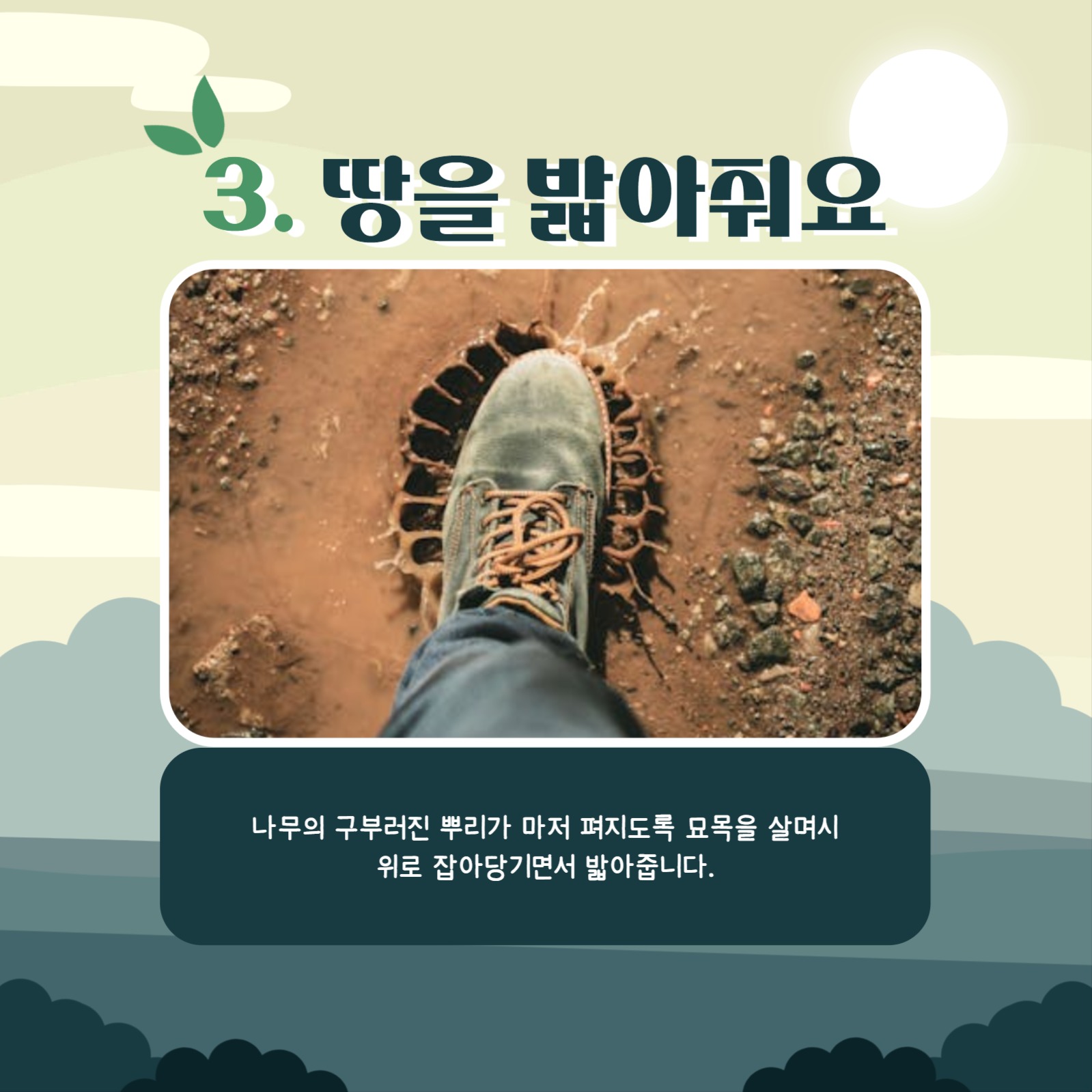 식목일 카드뉴스