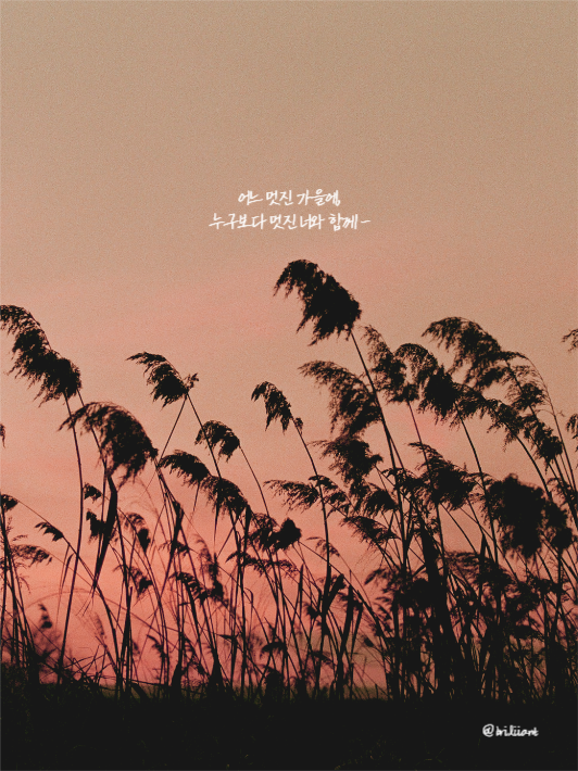 아이패드 가을배경화면