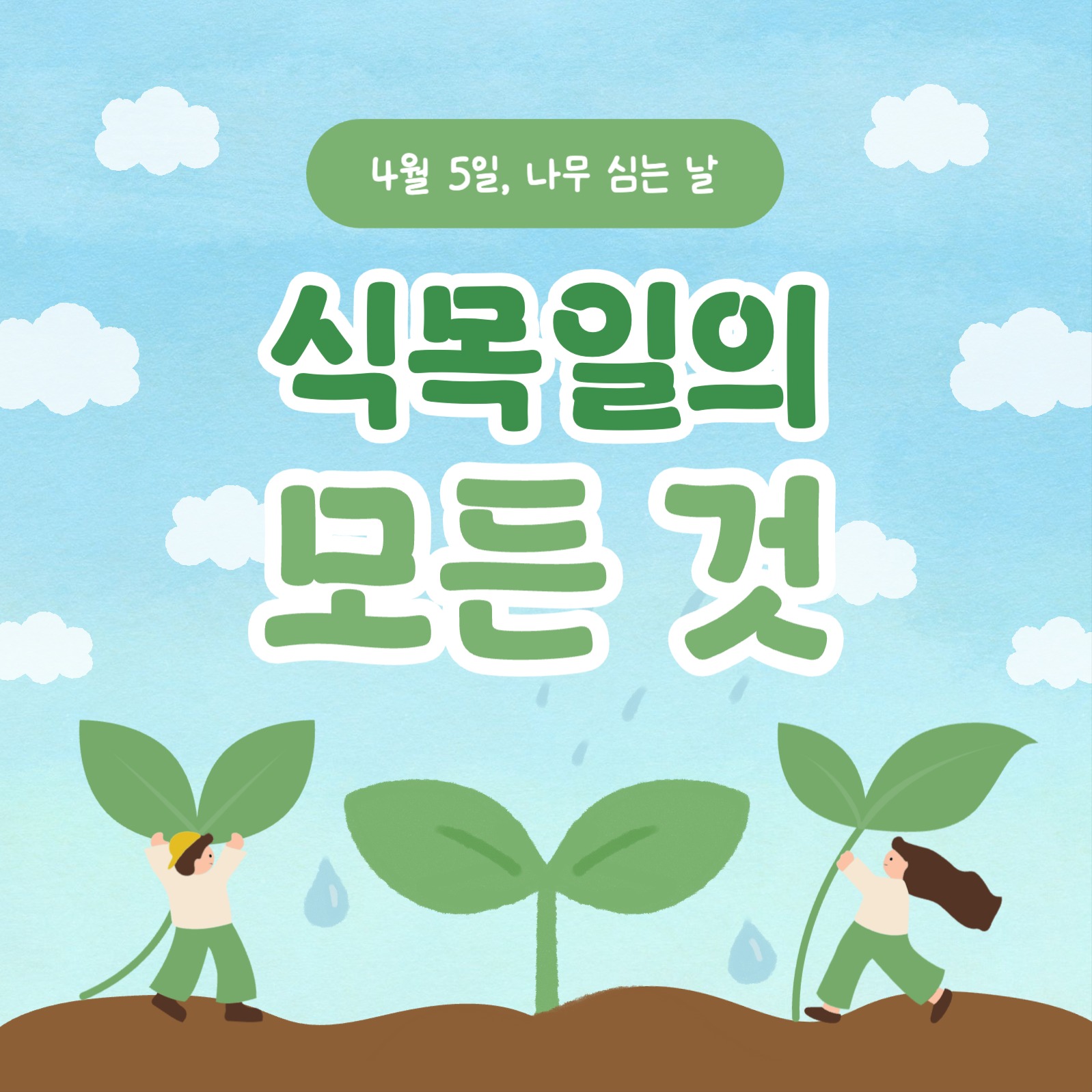 식목일의 모든 것 카드뉴스