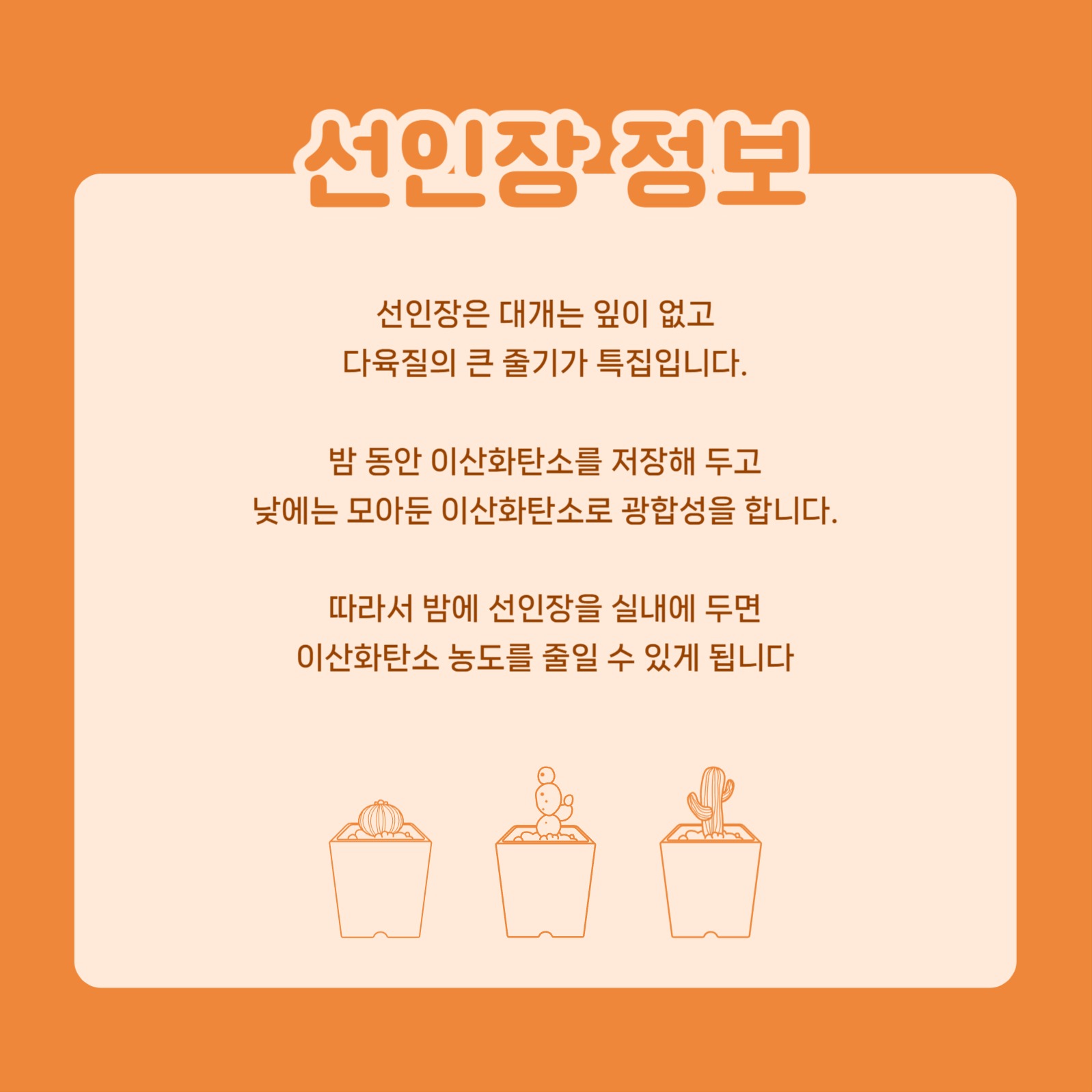 선인장 키우기 카드뉴스