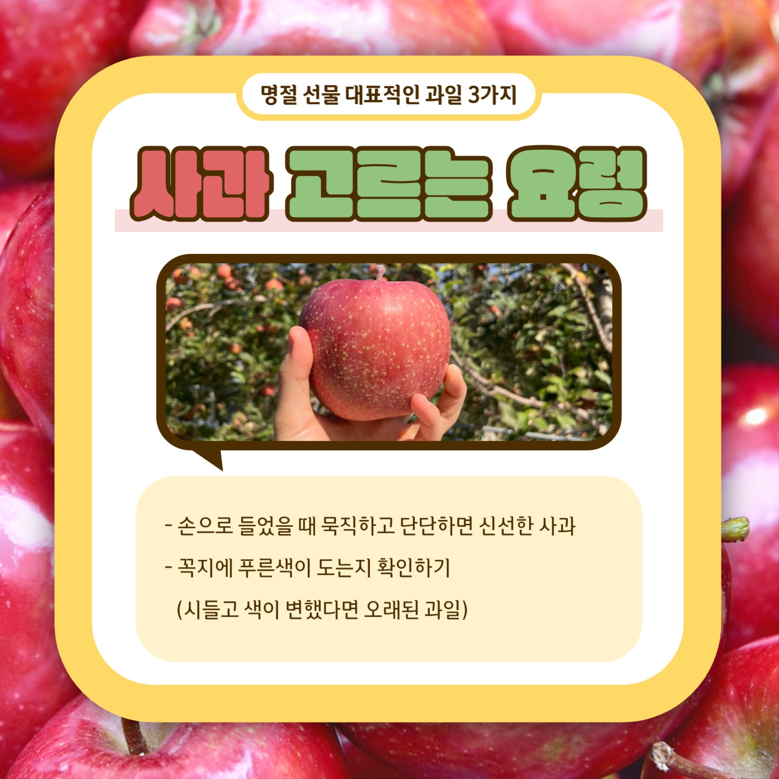 과일 고르는 요령