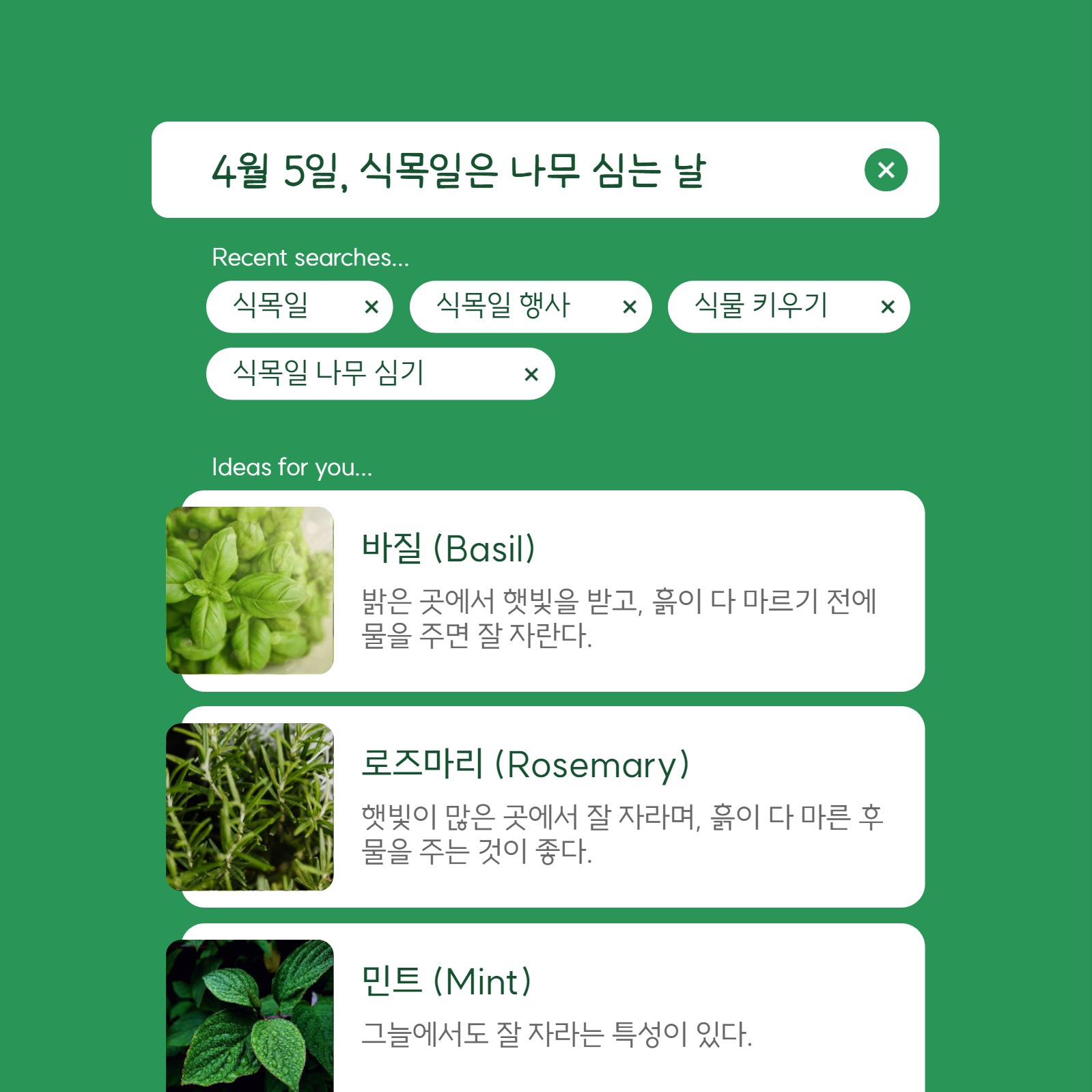 심플한 식목일 인스타그램 게시글