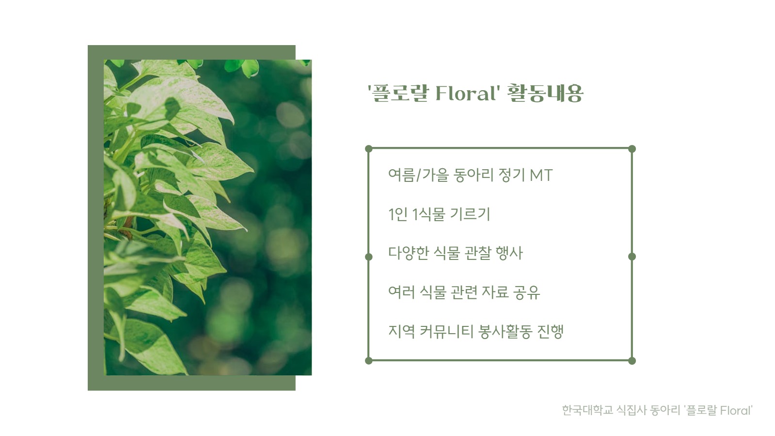 동아리 소개서 프레젠테이션