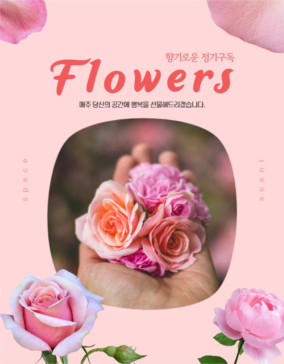 꽃정기구독 상세페이지