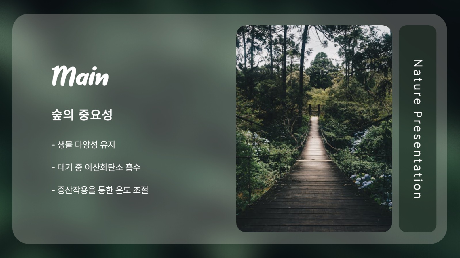 편안한 숲속 느낌의 프레젠테이션