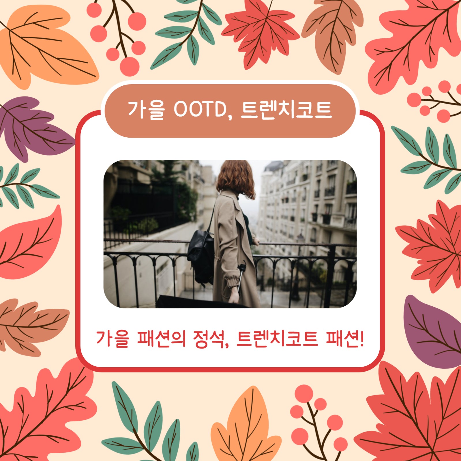가을맞이 OOTD (카드뉴스)