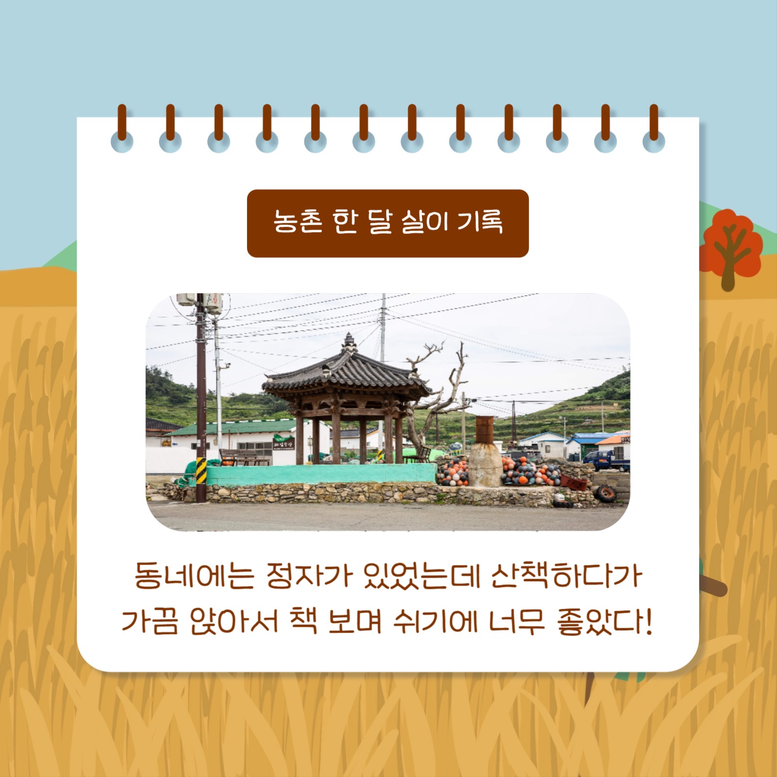 농촌살이 돌아보기 (카드뉴스)