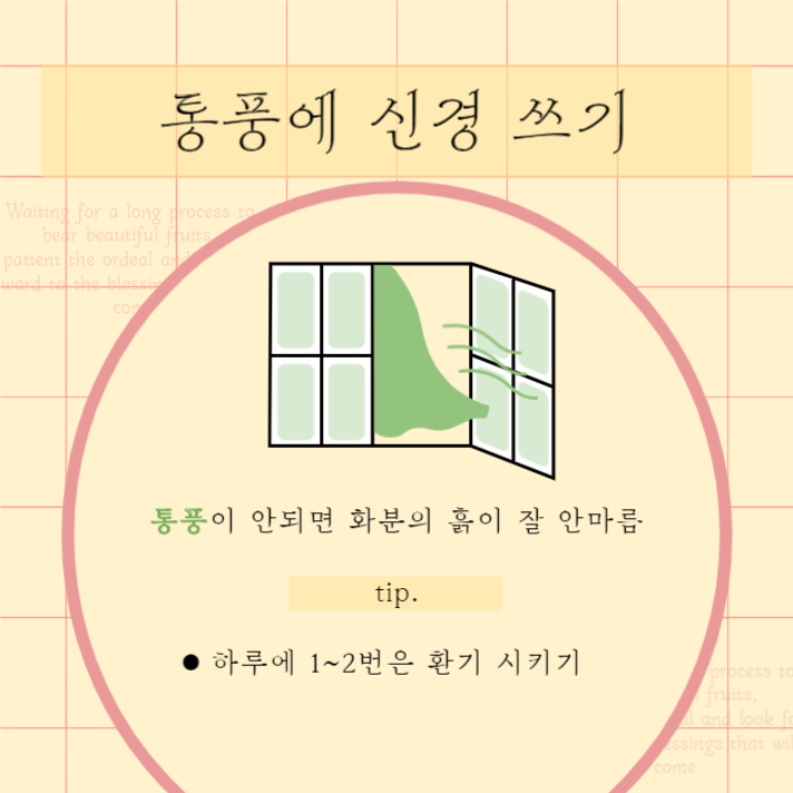 식물 키우기 리스트