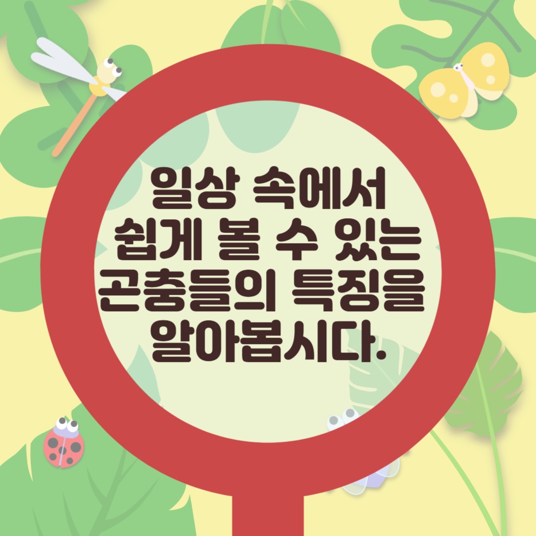 곤충 일기 카드뉴스