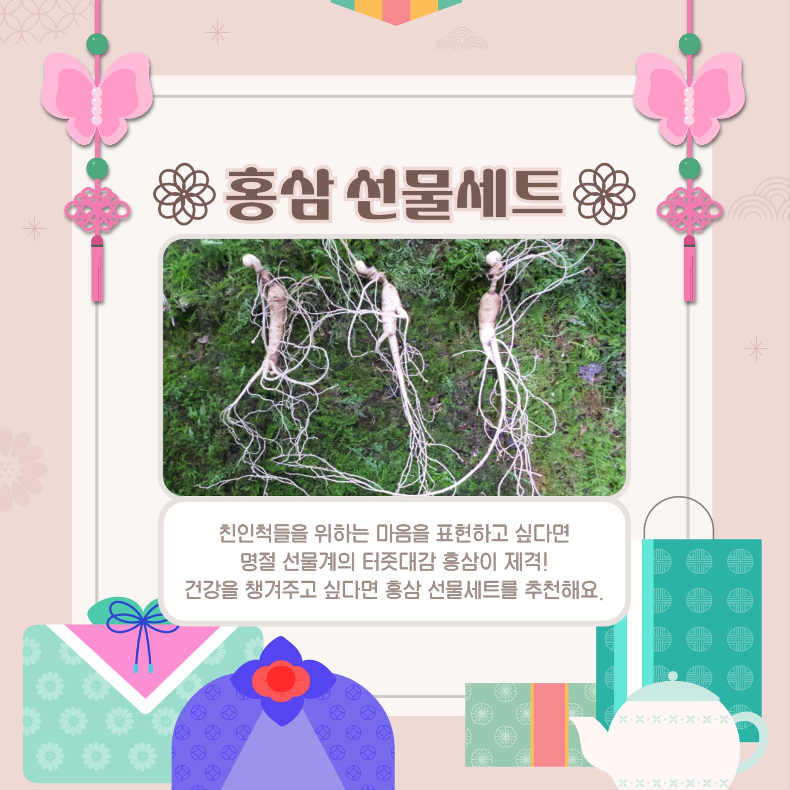 설날 선물 추천 리스트 카드뉴스