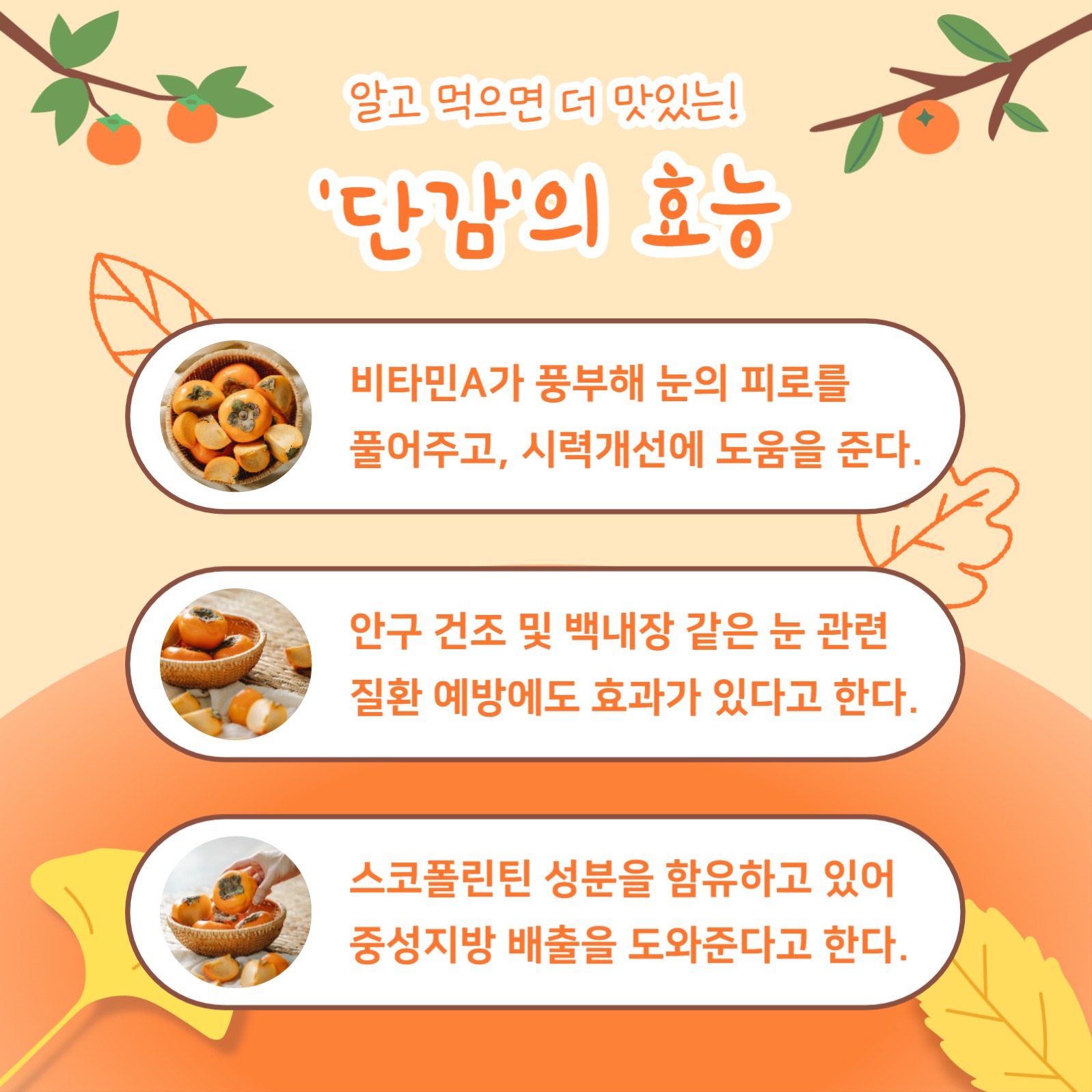 가을 단감 정보 (카드뉴스)