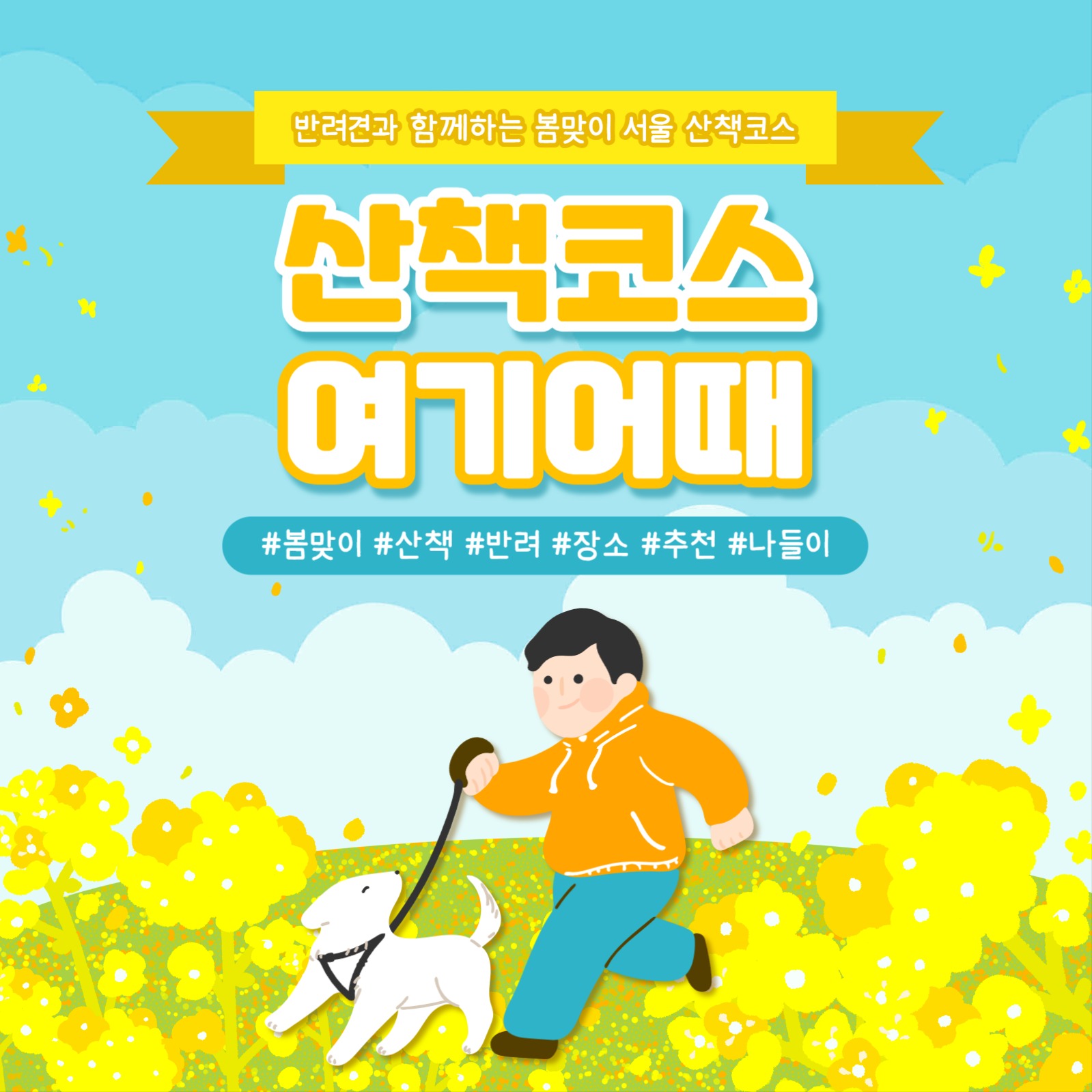 산책코스 카드뉴스