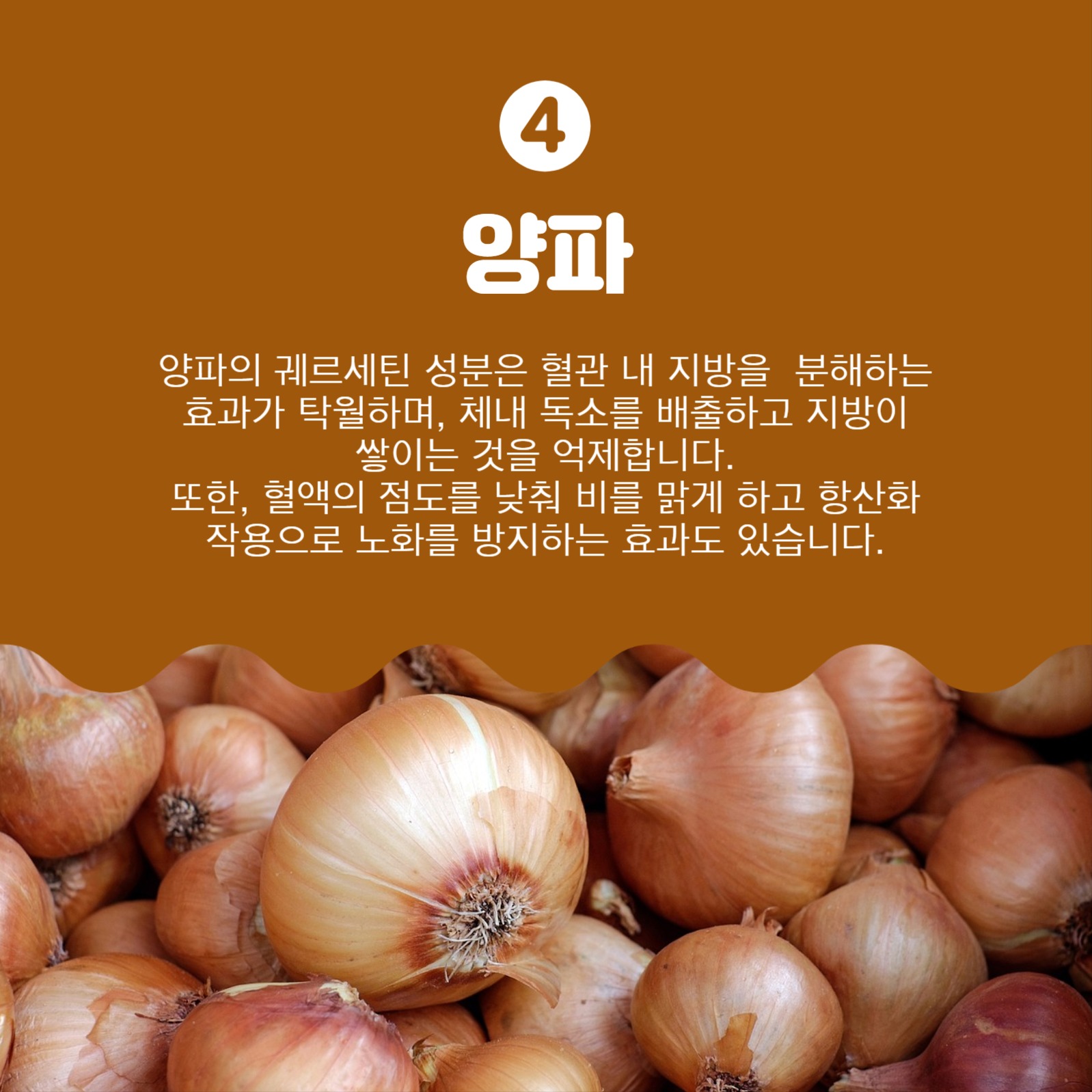 체지방감소에좋은음식