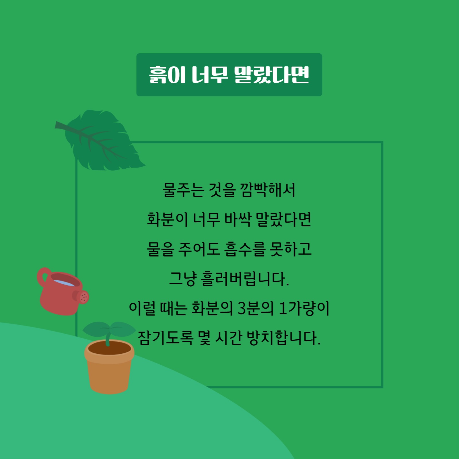 정원 가꾸기 물주기편 카드뉴스