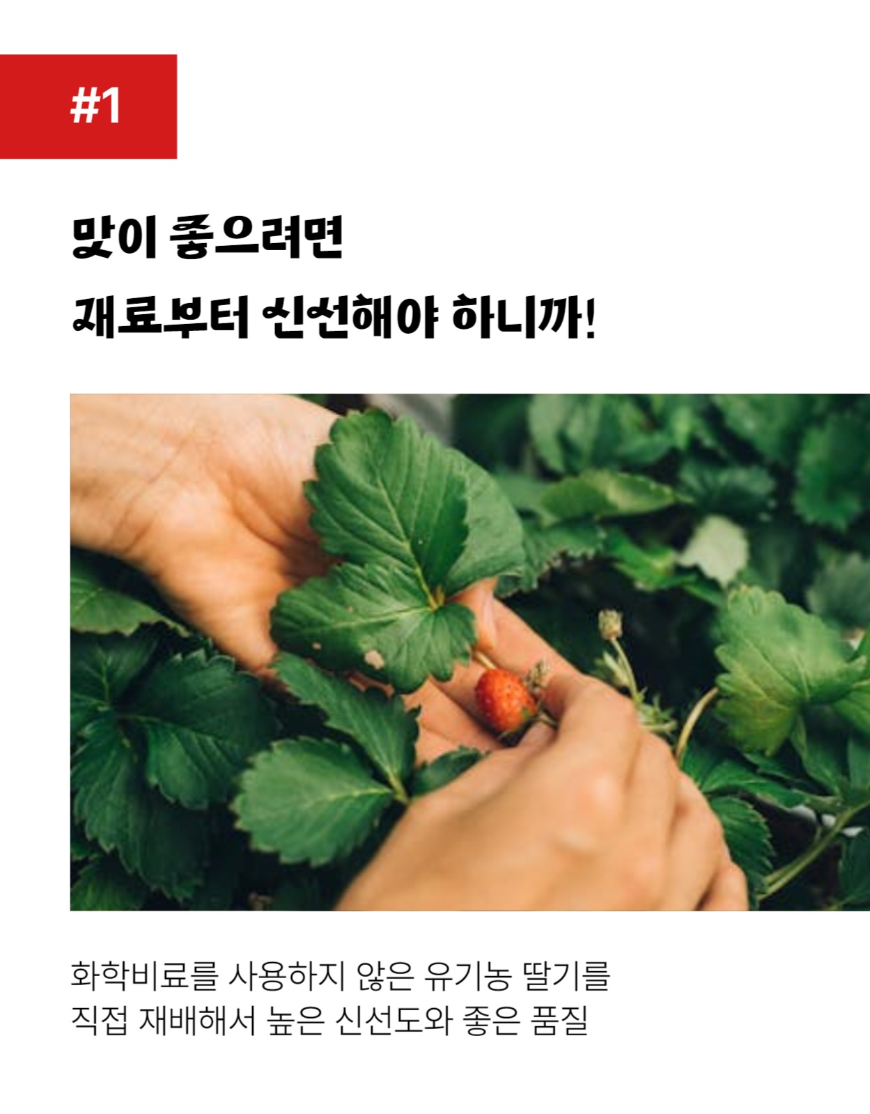 스테비아 딸기잼