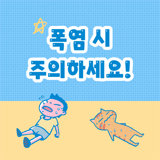 폭염 시 행동요령 (카드뉴스)