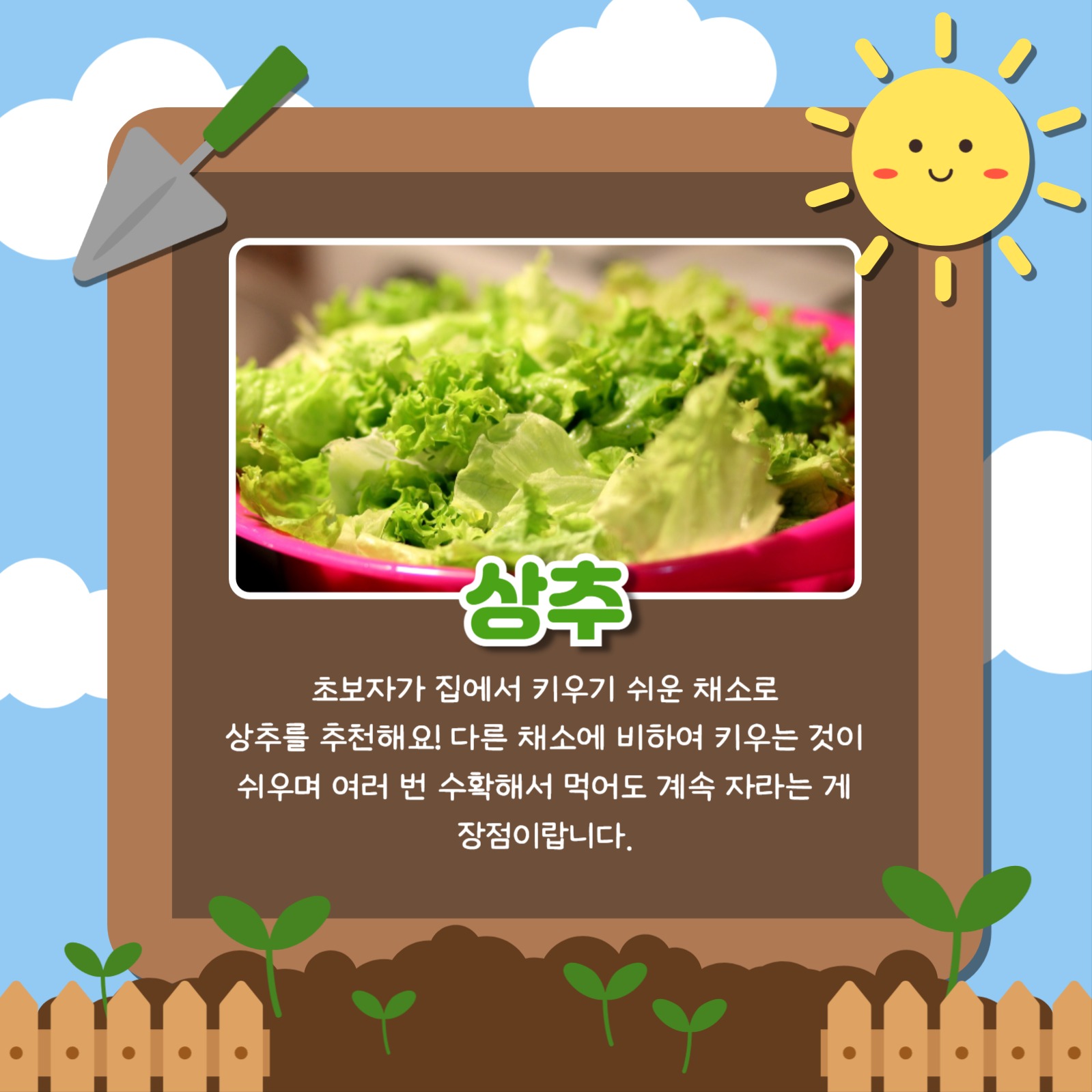 키우기 좋은 채소 카드뉴스
