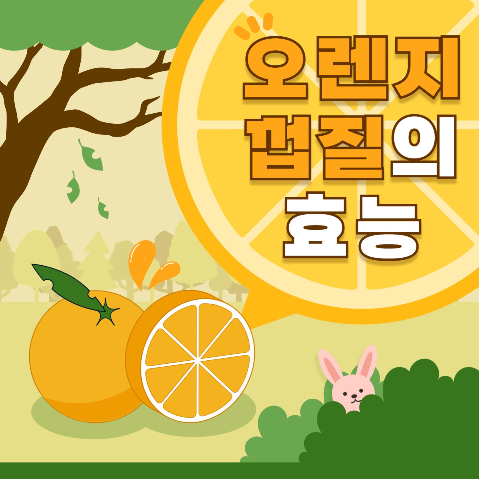 오렌지 껍질의 효능