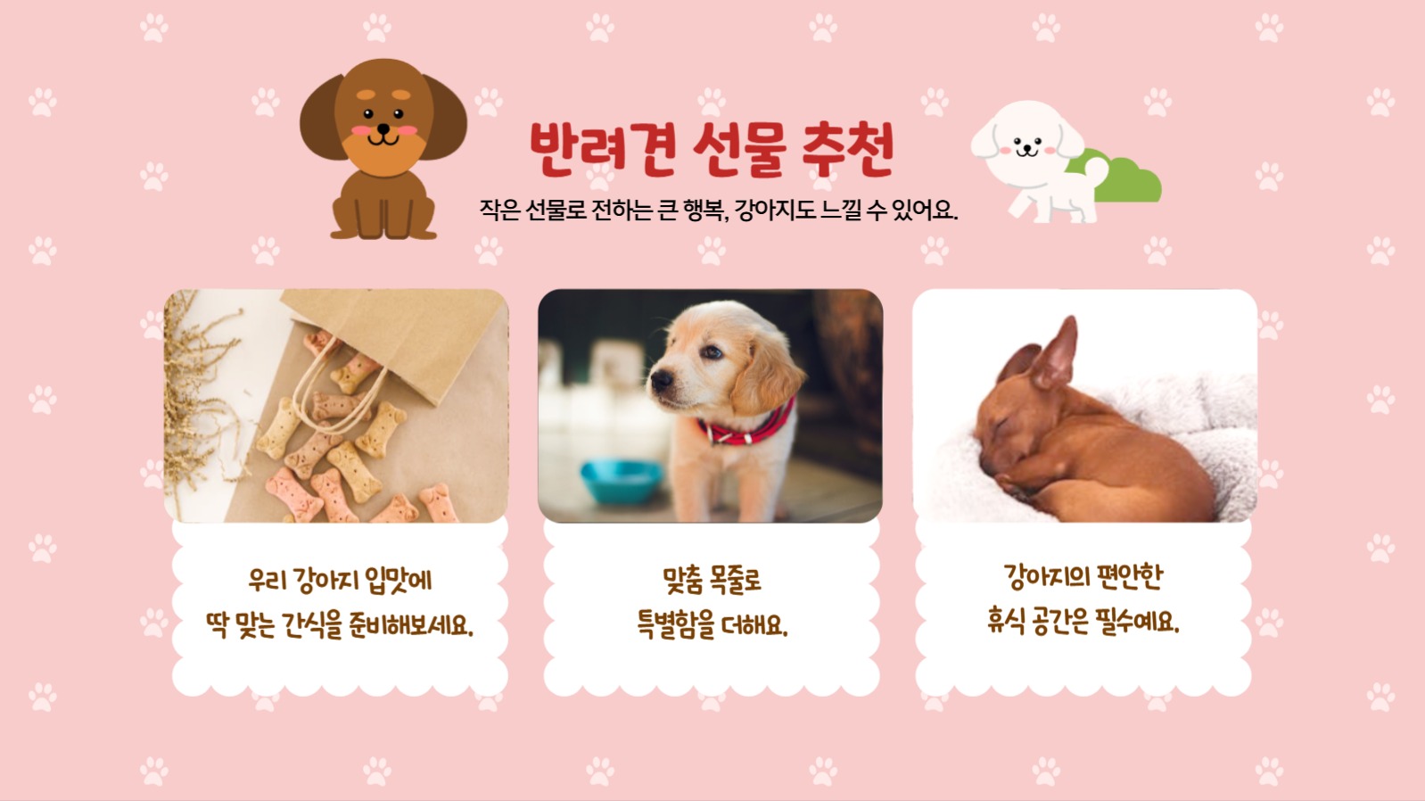 국제 강아지의날 행사