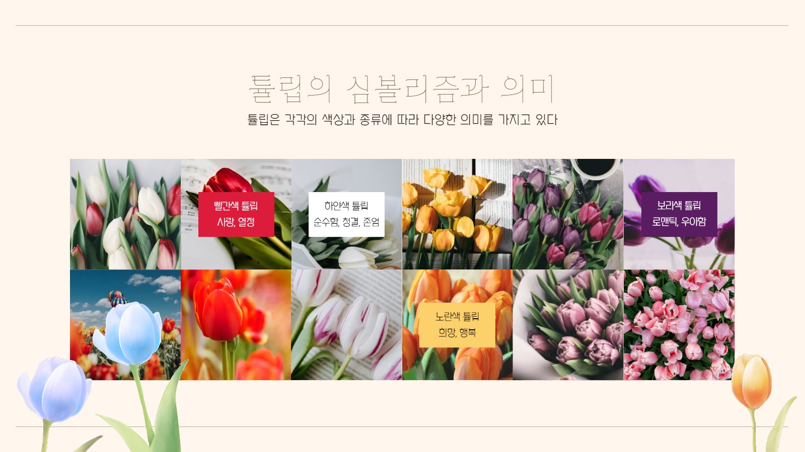 튤립 테마 프레젠테이션