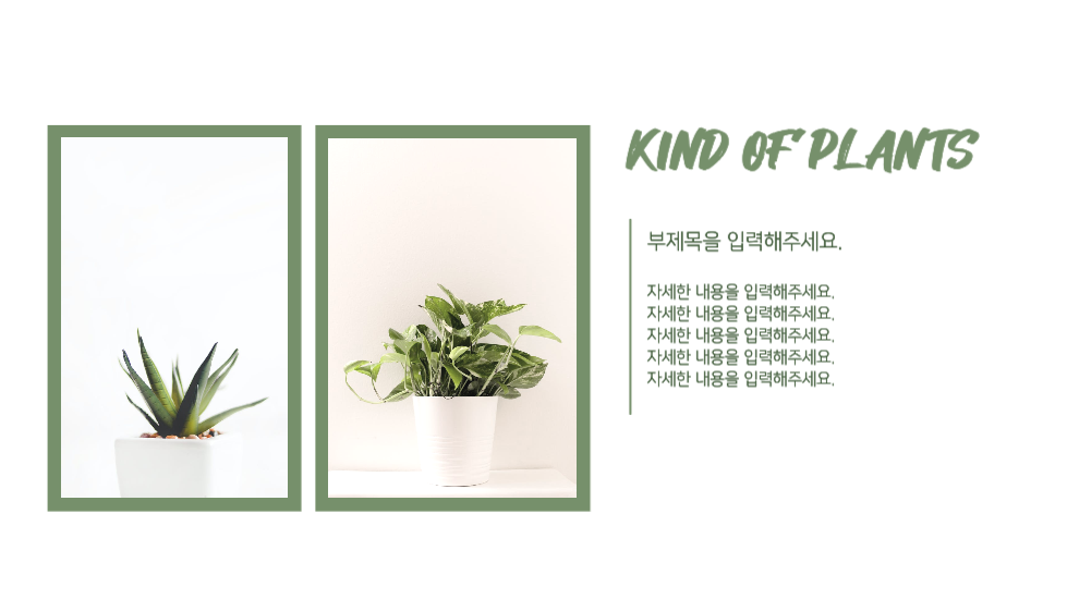 식물 조사 피피티