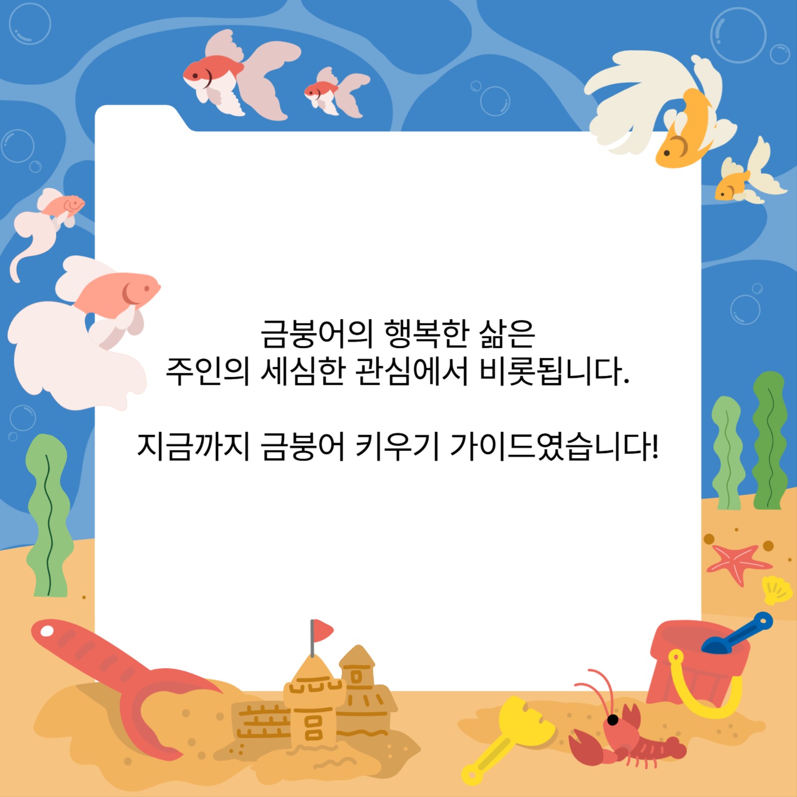 금붕어 키우기 