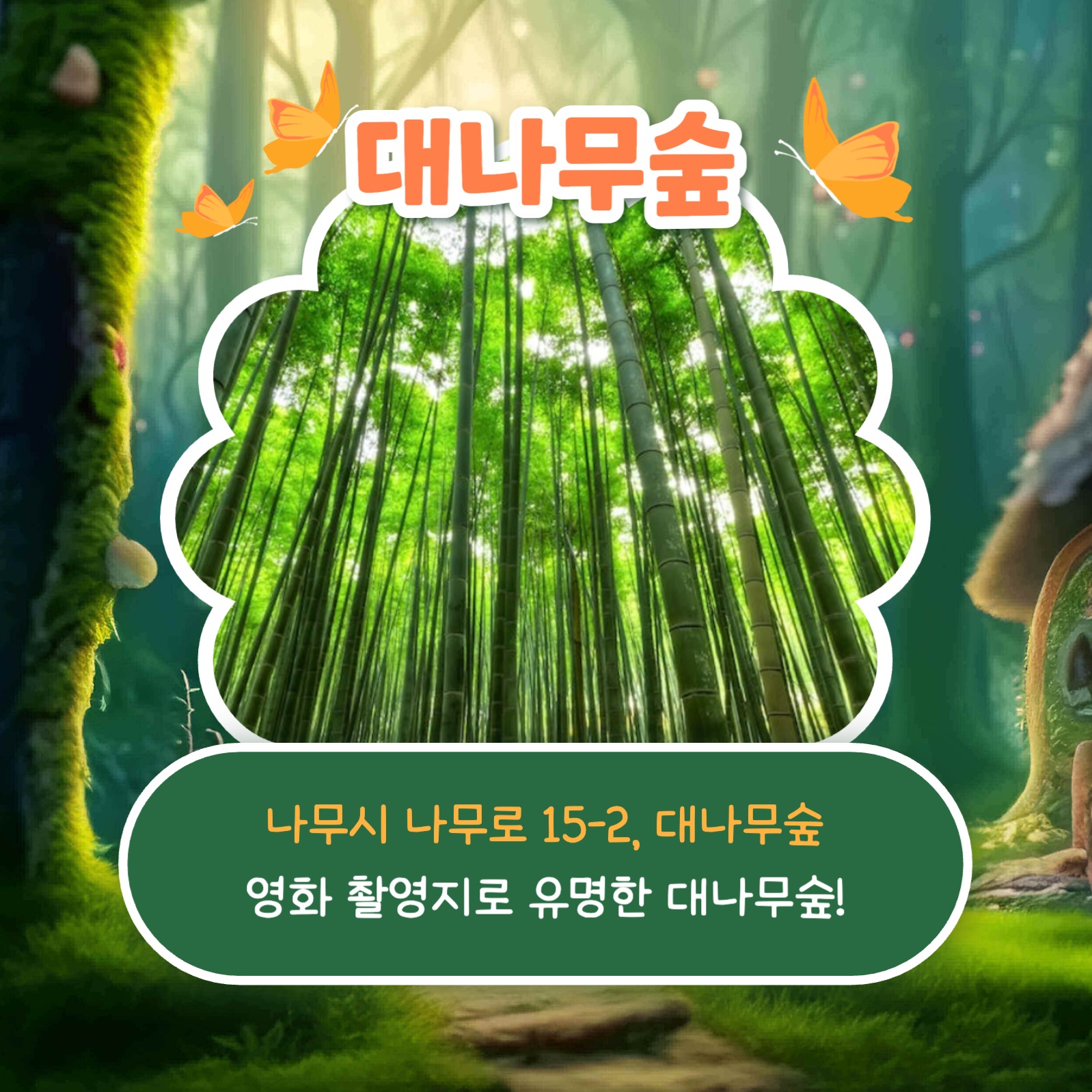 숲 추천 리스트 카드뉴스