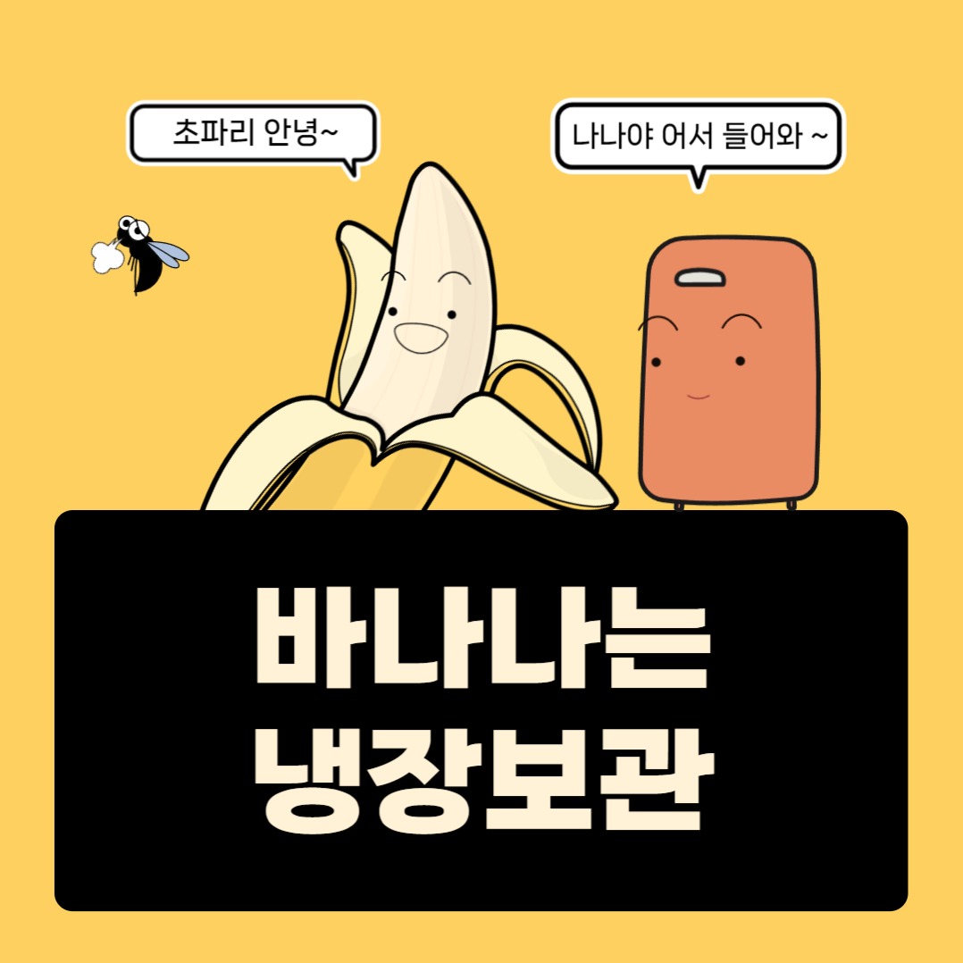 바나나는 냉장보관 인스타