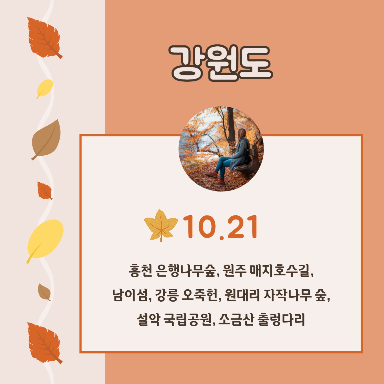 단풍 명소와 절정기 카드뉴스