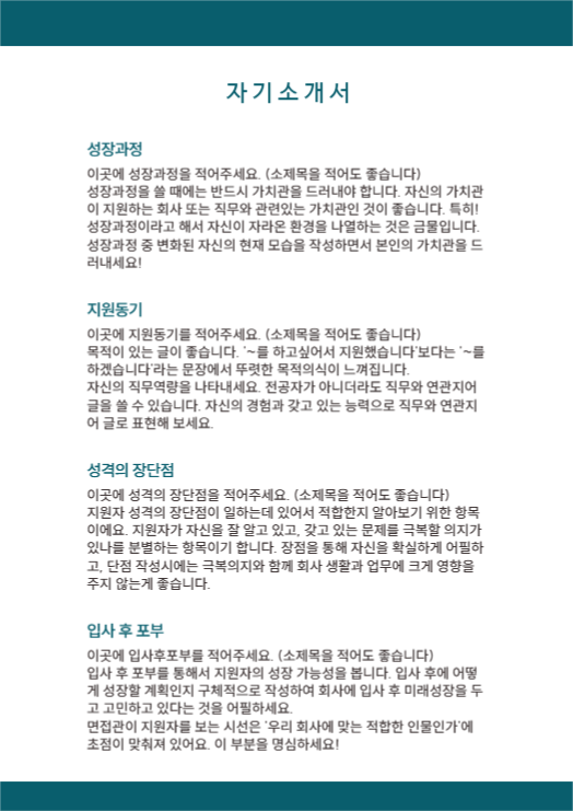 심플 이력서, 자소서