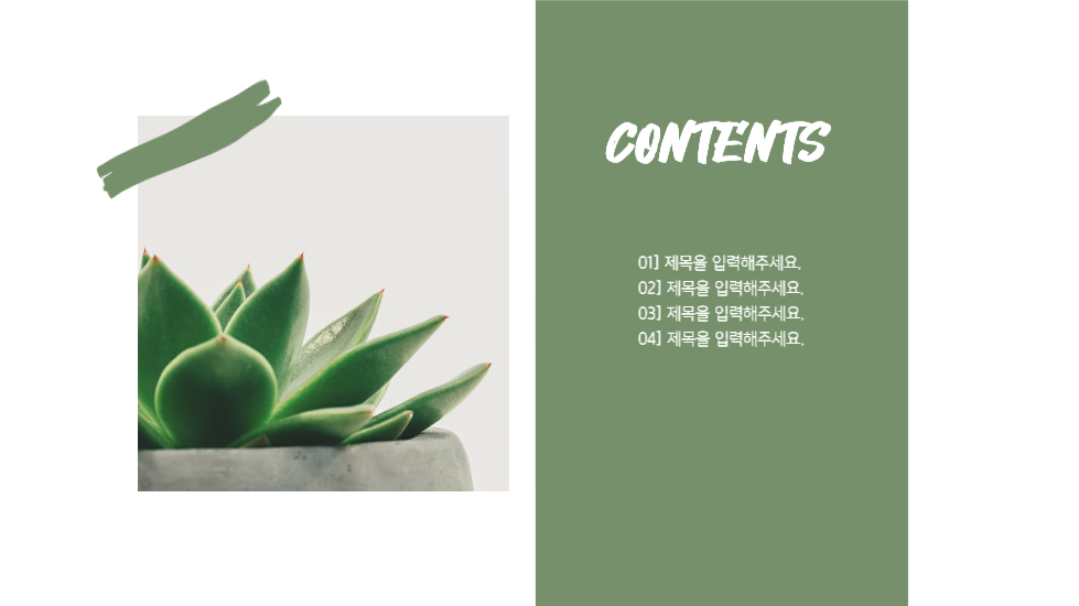 식물 조사 피피티