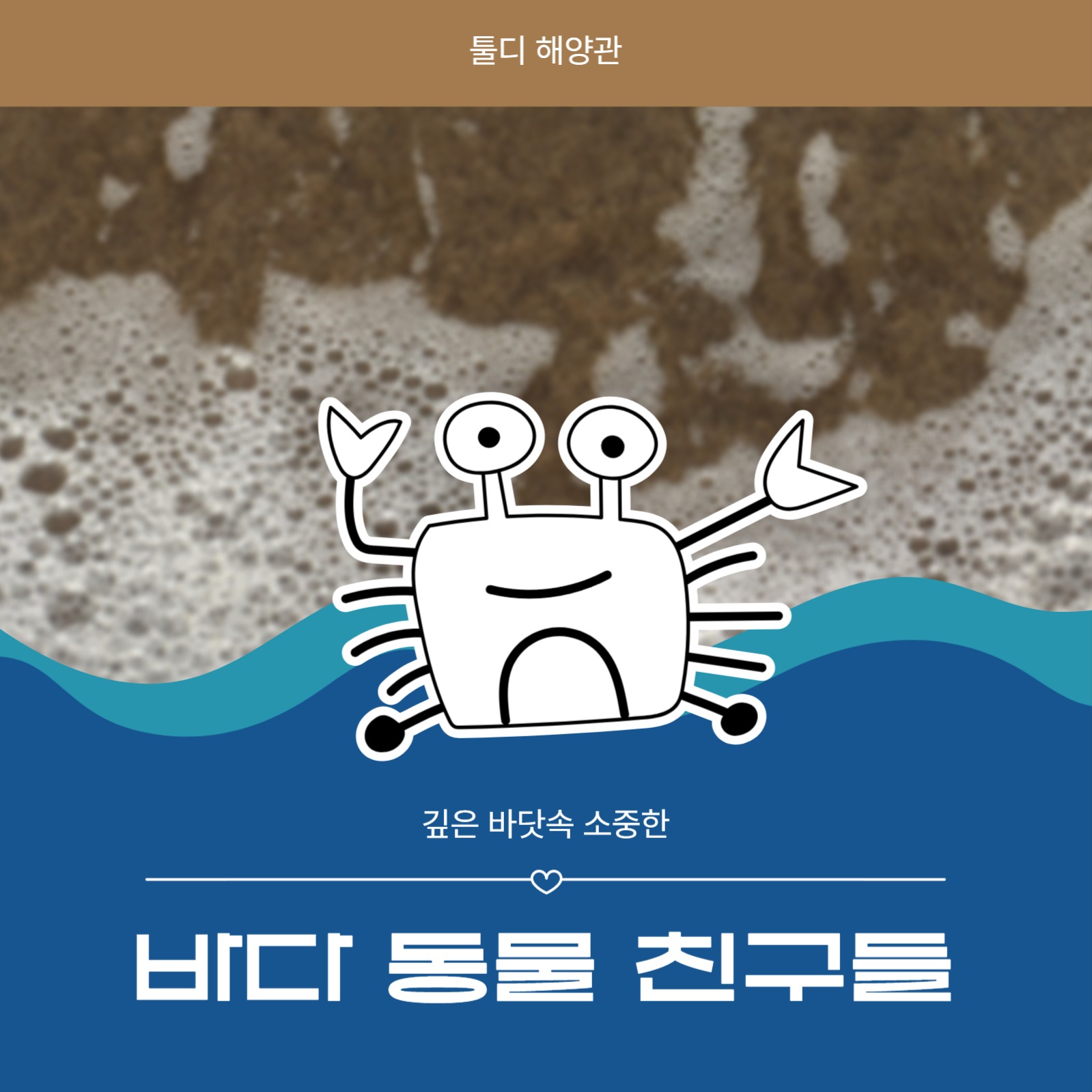 바다 동물 친구들