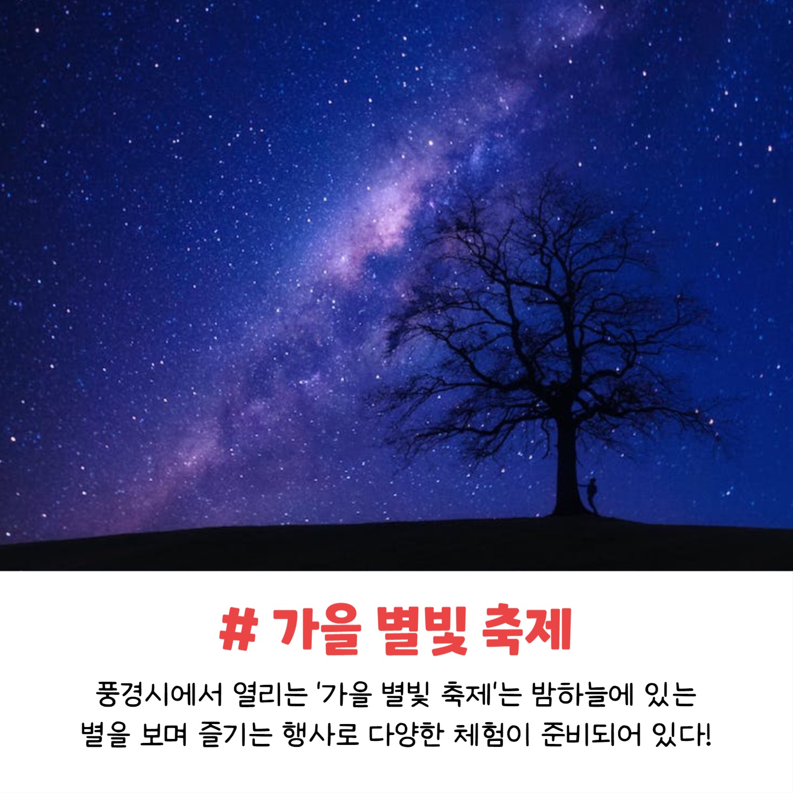 가을축제 모음집 (카드뉴스)