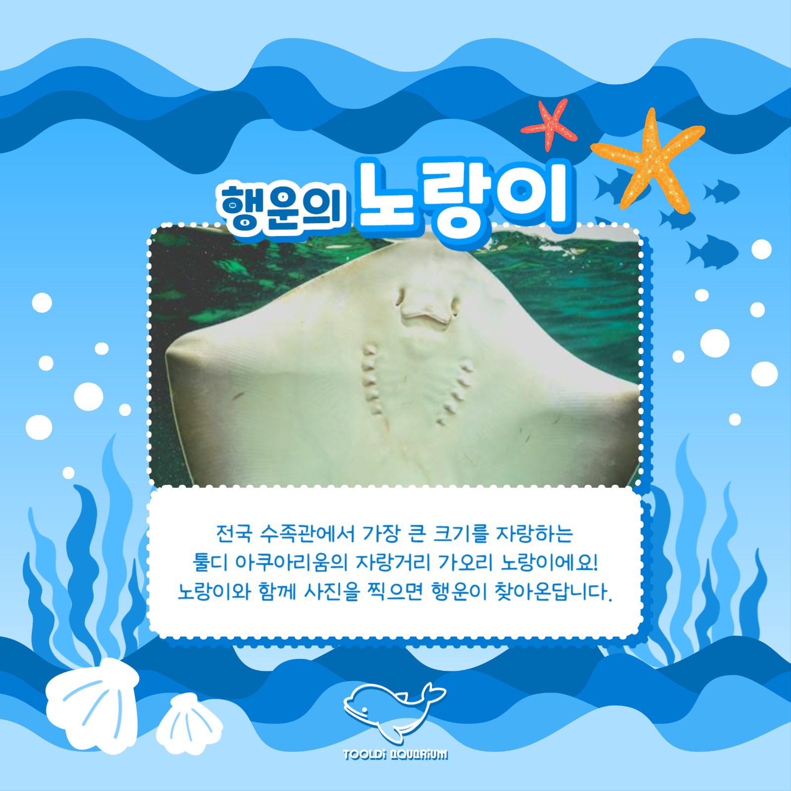 아쿠아리움 홍보 카드뉴스