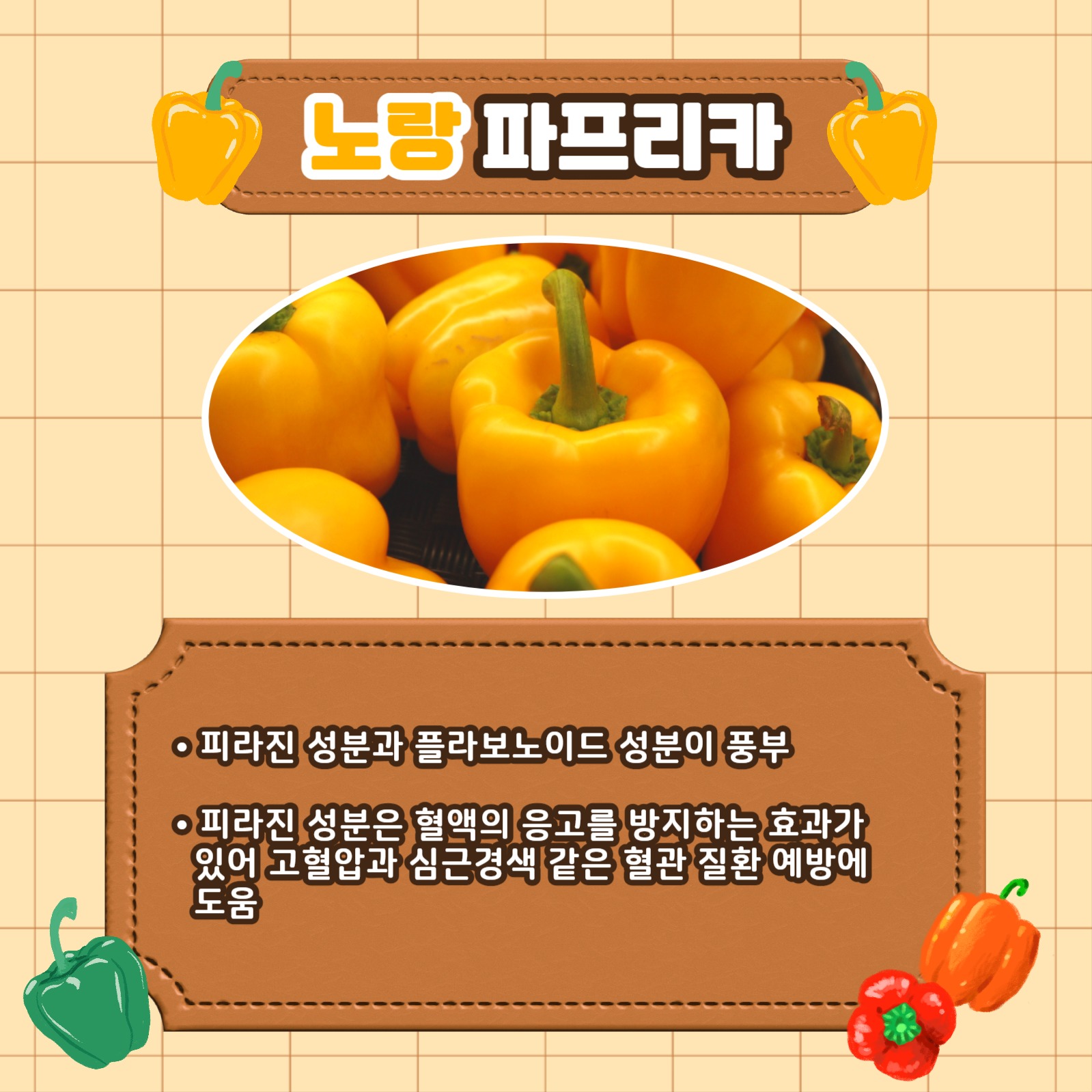 파프리카의 효능 카드뉴스