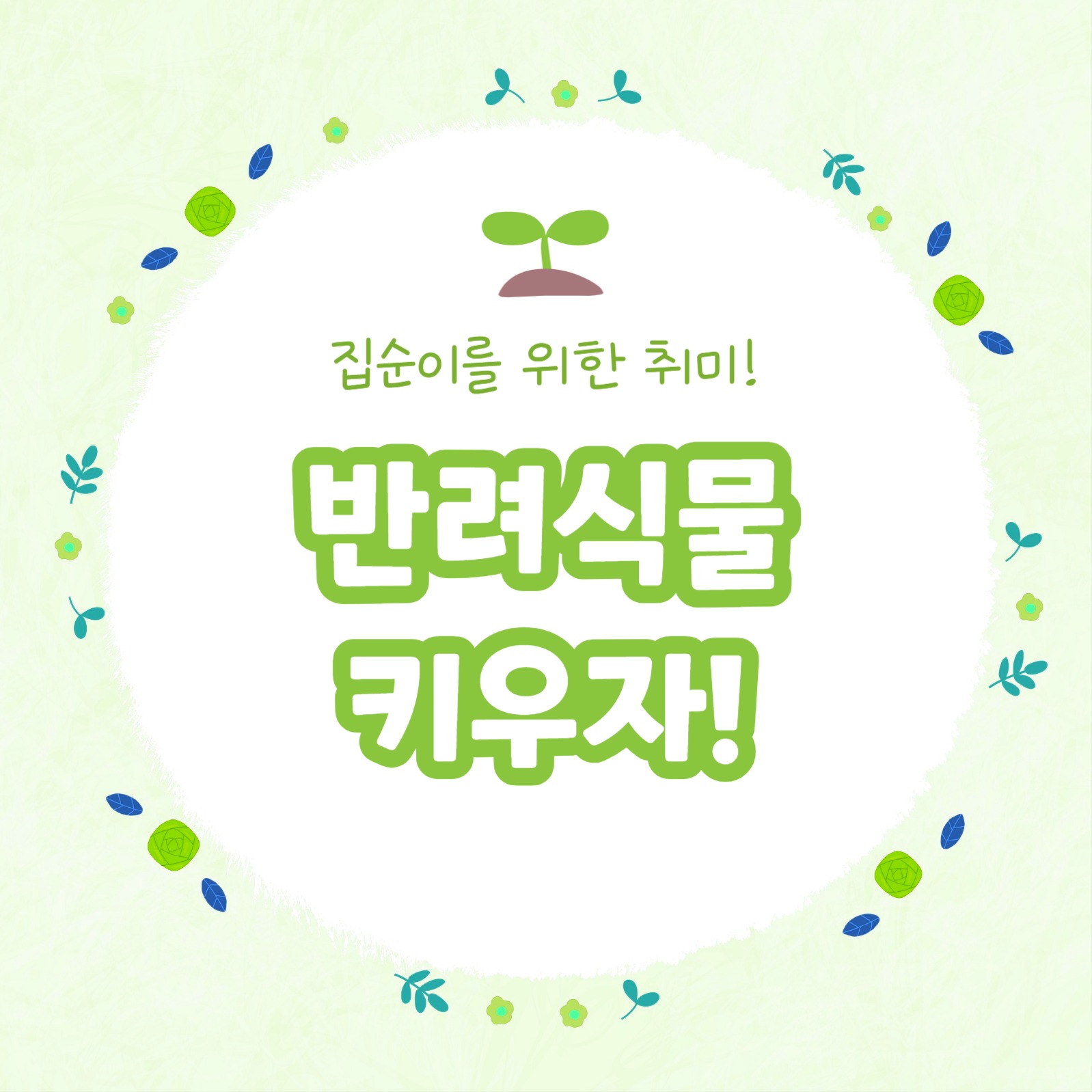 반려식물 추천 모음 카드뉴스